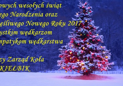 2017-2-kopia