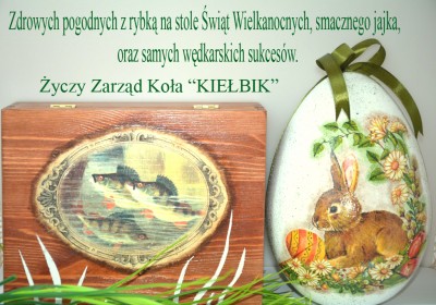 Bez nazwy 1