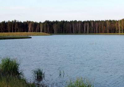 1024px-Wykrot-zalew
